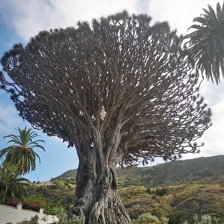 Holiday home Casita Canaria *